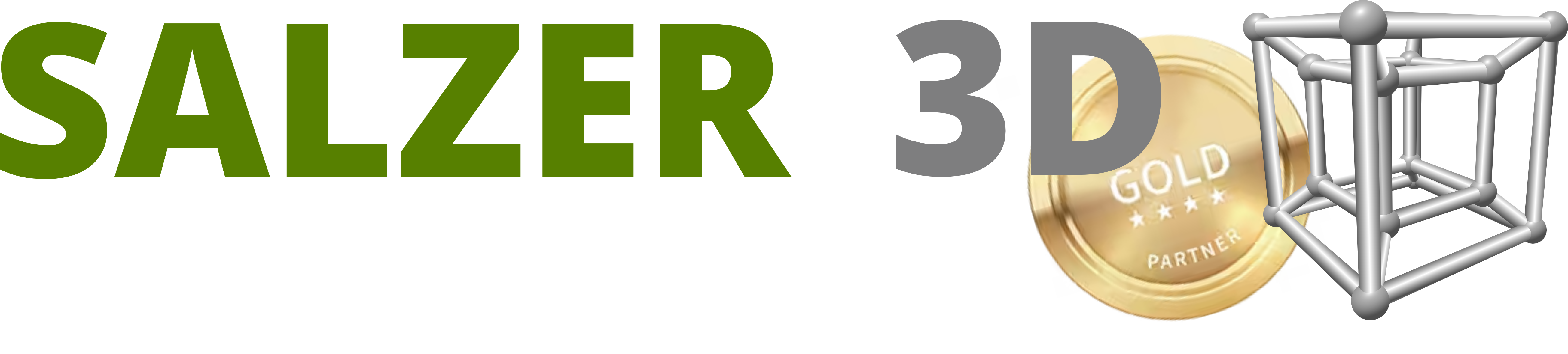 Logo Salzer 3D Corel Gold Partner